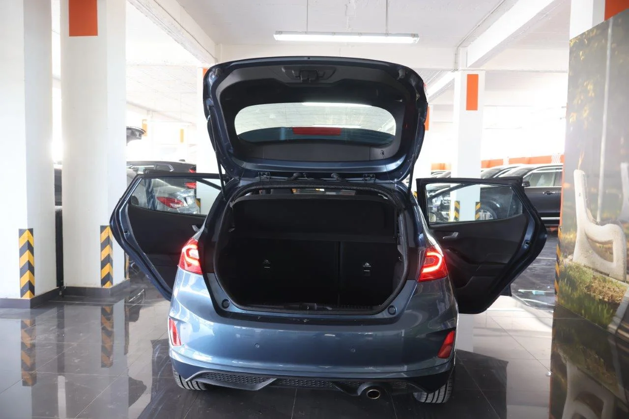 Ford Fiesta - View model 8