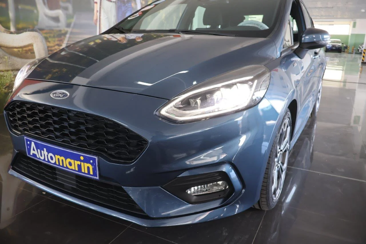 Ford Fiesta - View model 15