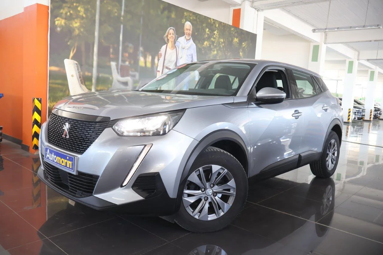 View 1 - Peugeot 2008 - 2021