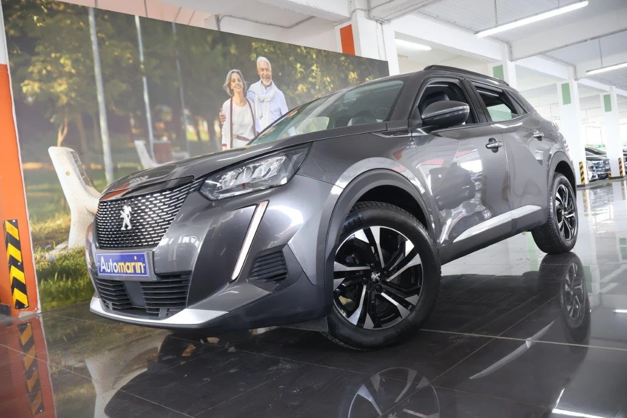 View 1 - Peugeot 2008 - 2019