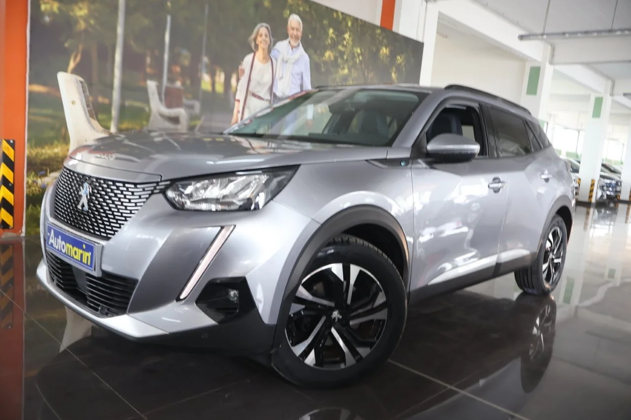 View 1 - Peugeot 2008 - 2020