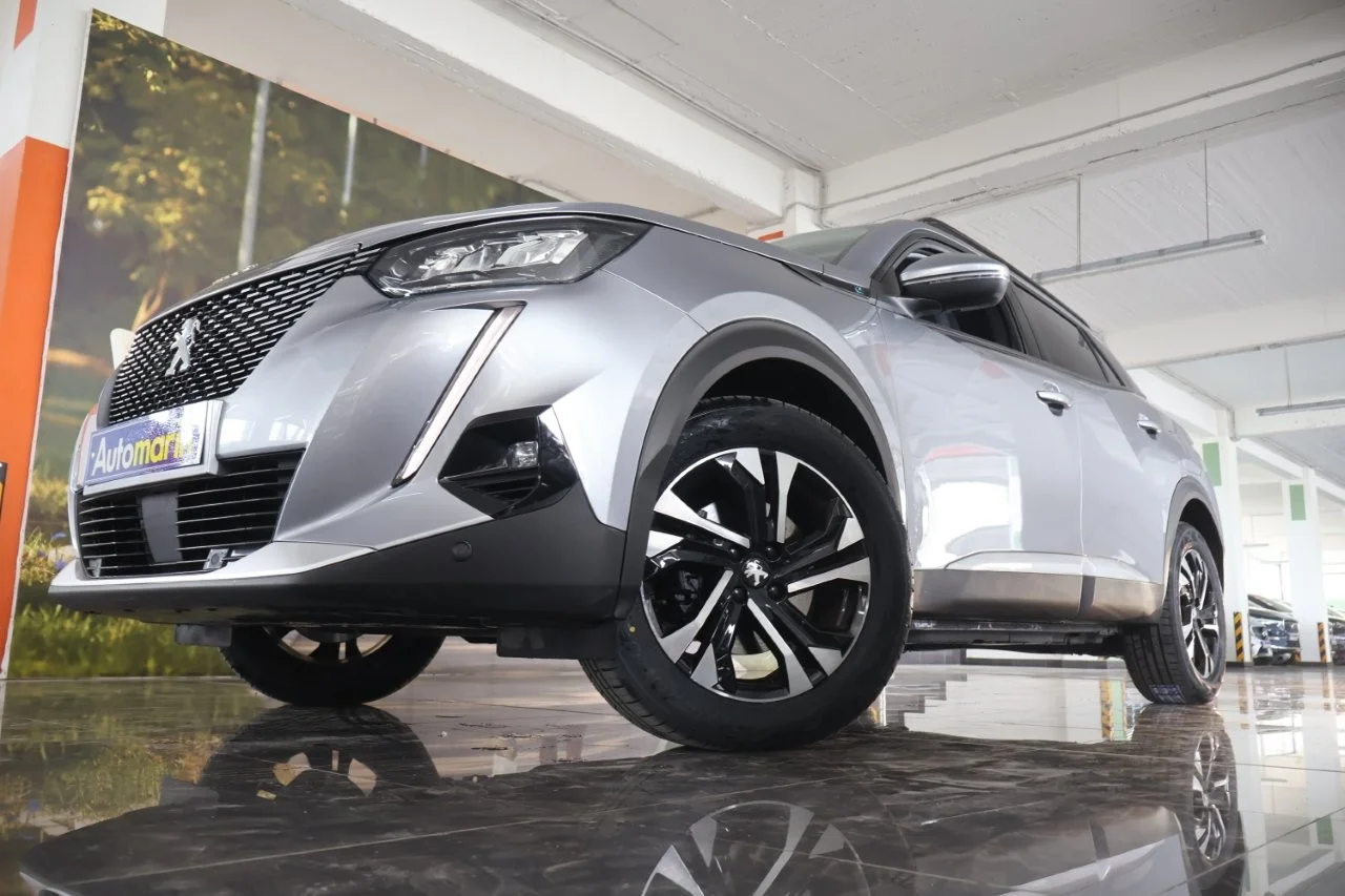 View 2 - Peugeot 2008 - 2020