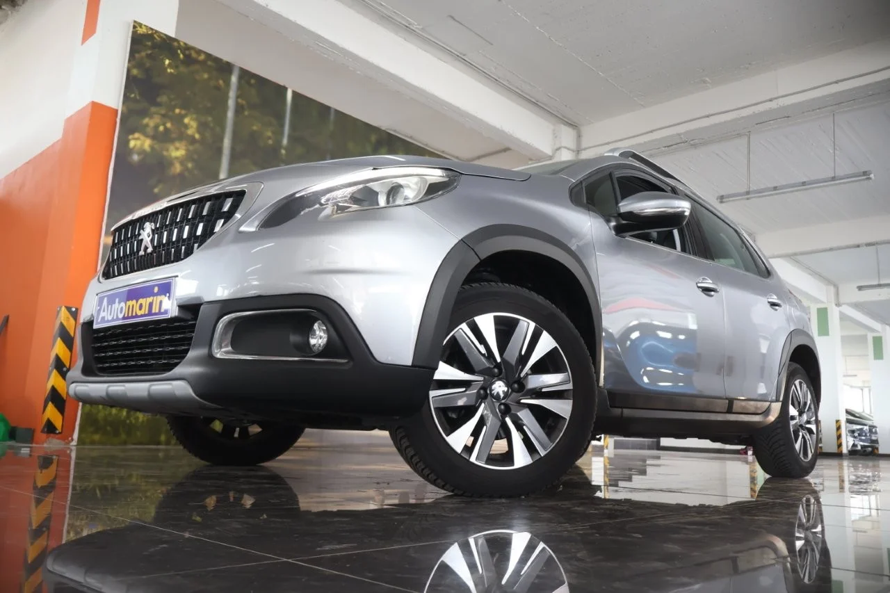 View 2 - Peugeot 2008 - 2017