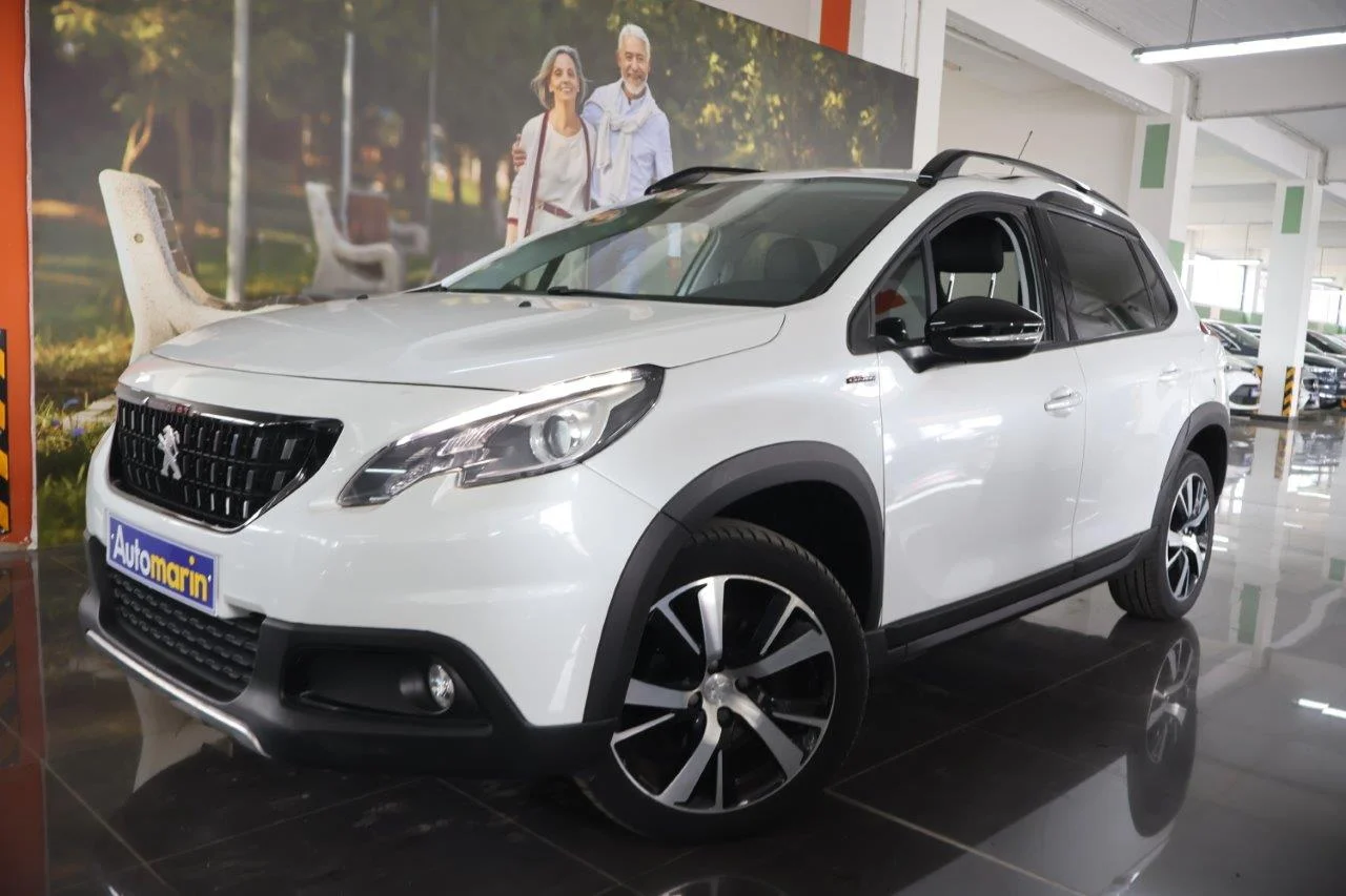 View 1 - Peugeot 2008 - 2017