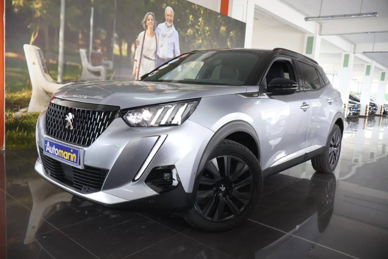 View 1 - Peugeot 2008 - 2021