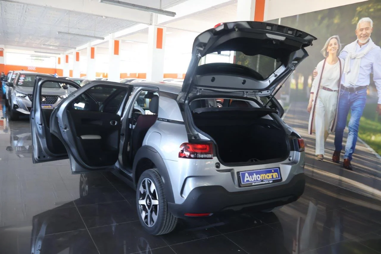 Citroen C4 Cactus - View model 9