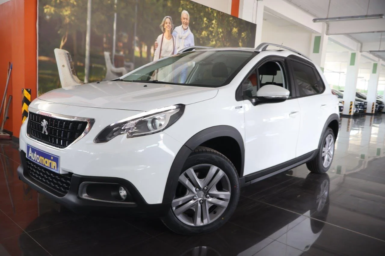 View 1 - Peugeot 2008 - 2019