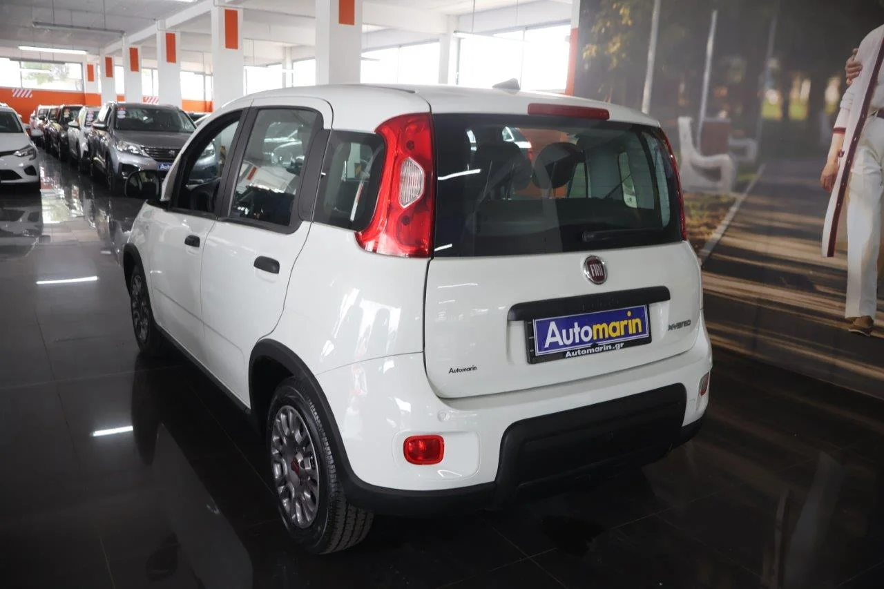 Fiat Panda - View model 6