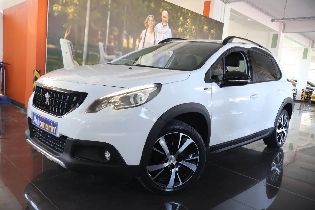 View 1 - Peugeot 2008 - 2016