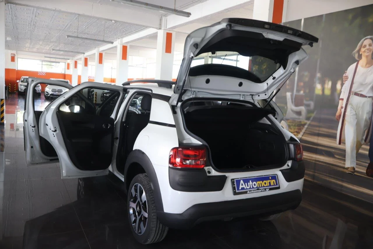Citroen C4 Cactus - View model 9