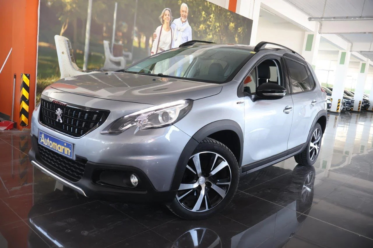 View 1 - Peugeot 2008 - 2019