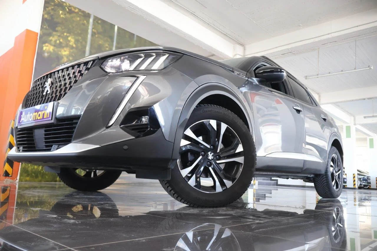 View 2 - Peugeot 2008 - 2020
