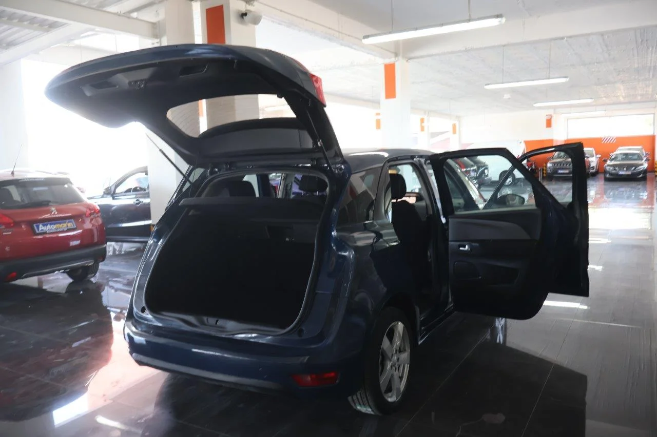 Citroen C4 Picasso - View model 7