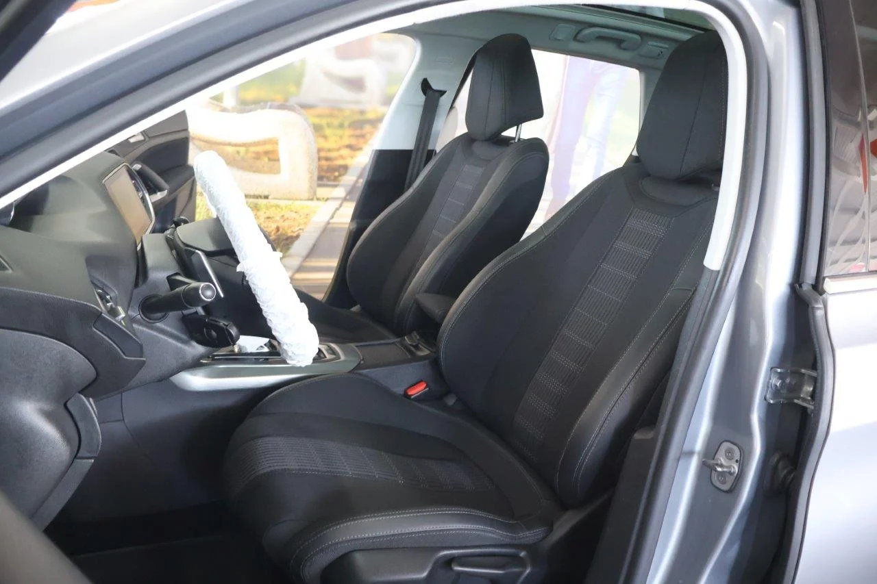 Peugeot 308 - View model 19