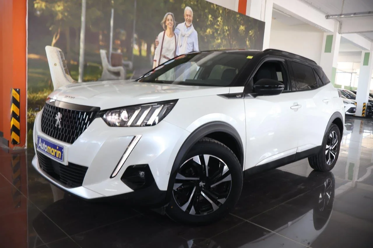 View 1 - Peugeot 2008 - 2021