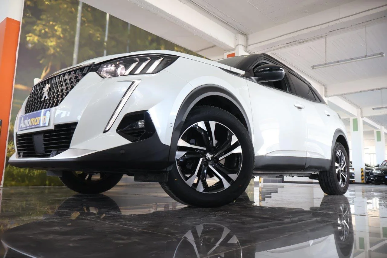View 2 - Peugeot 2008 - 2021