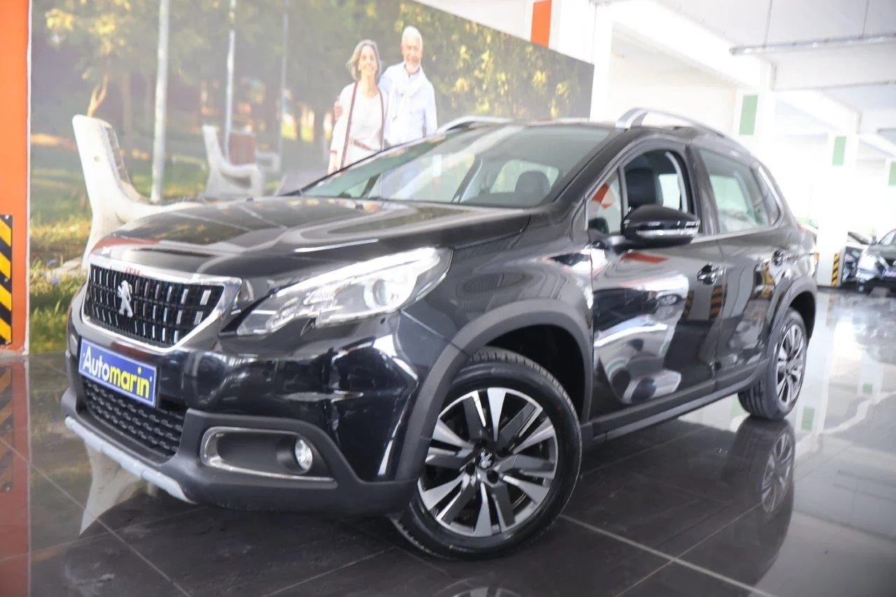View 1 - Peugeot 2008 - 2018