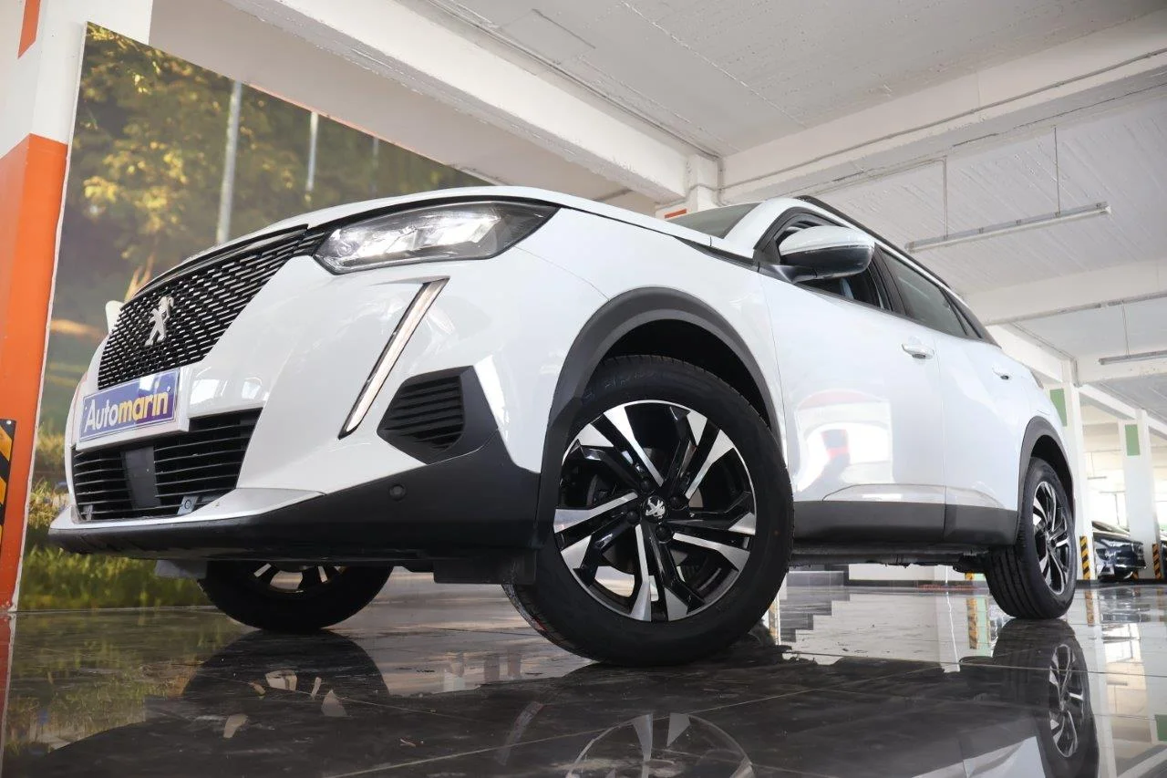 View 2 - Peugeot 2008 - 2020