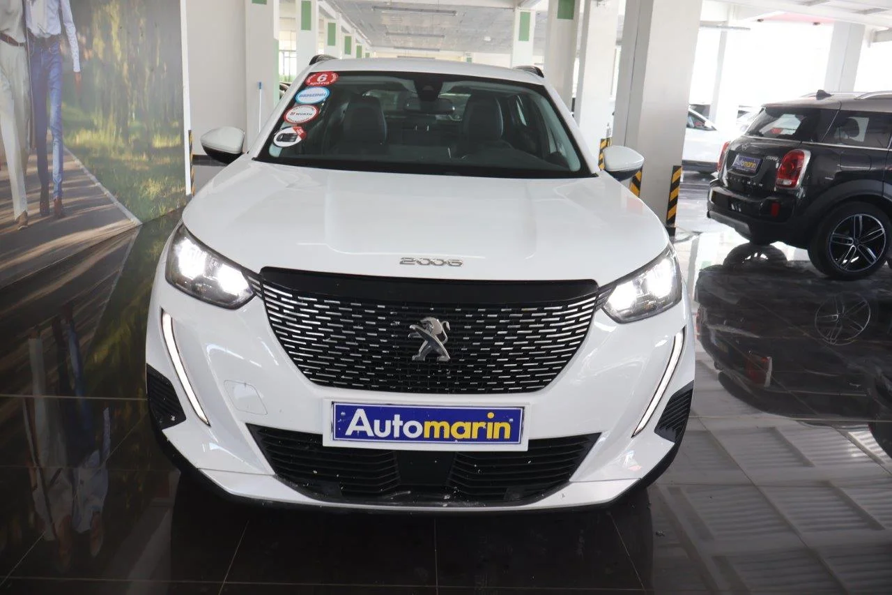 View 3 - Peugeot 2008 - 2020