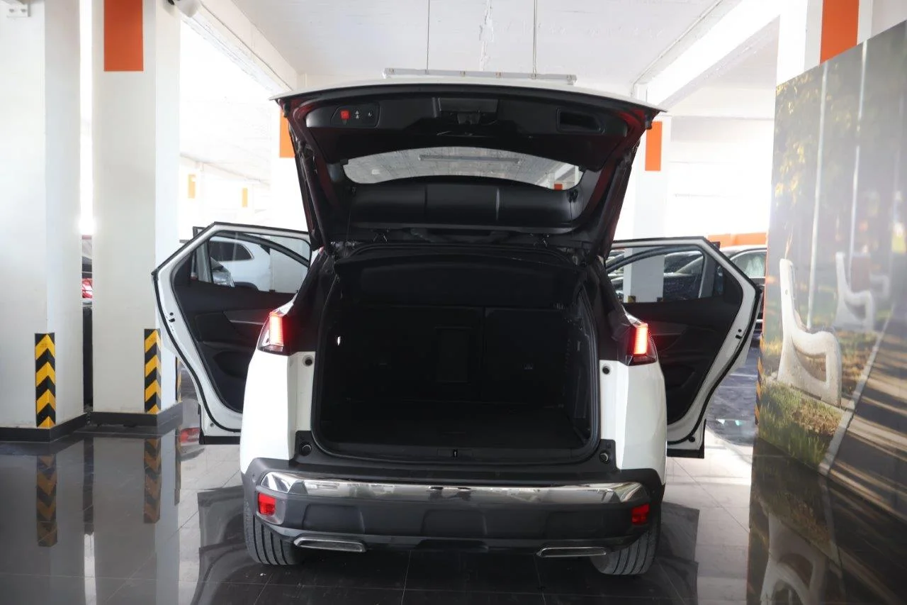 Peugeot 3008 - View model 8