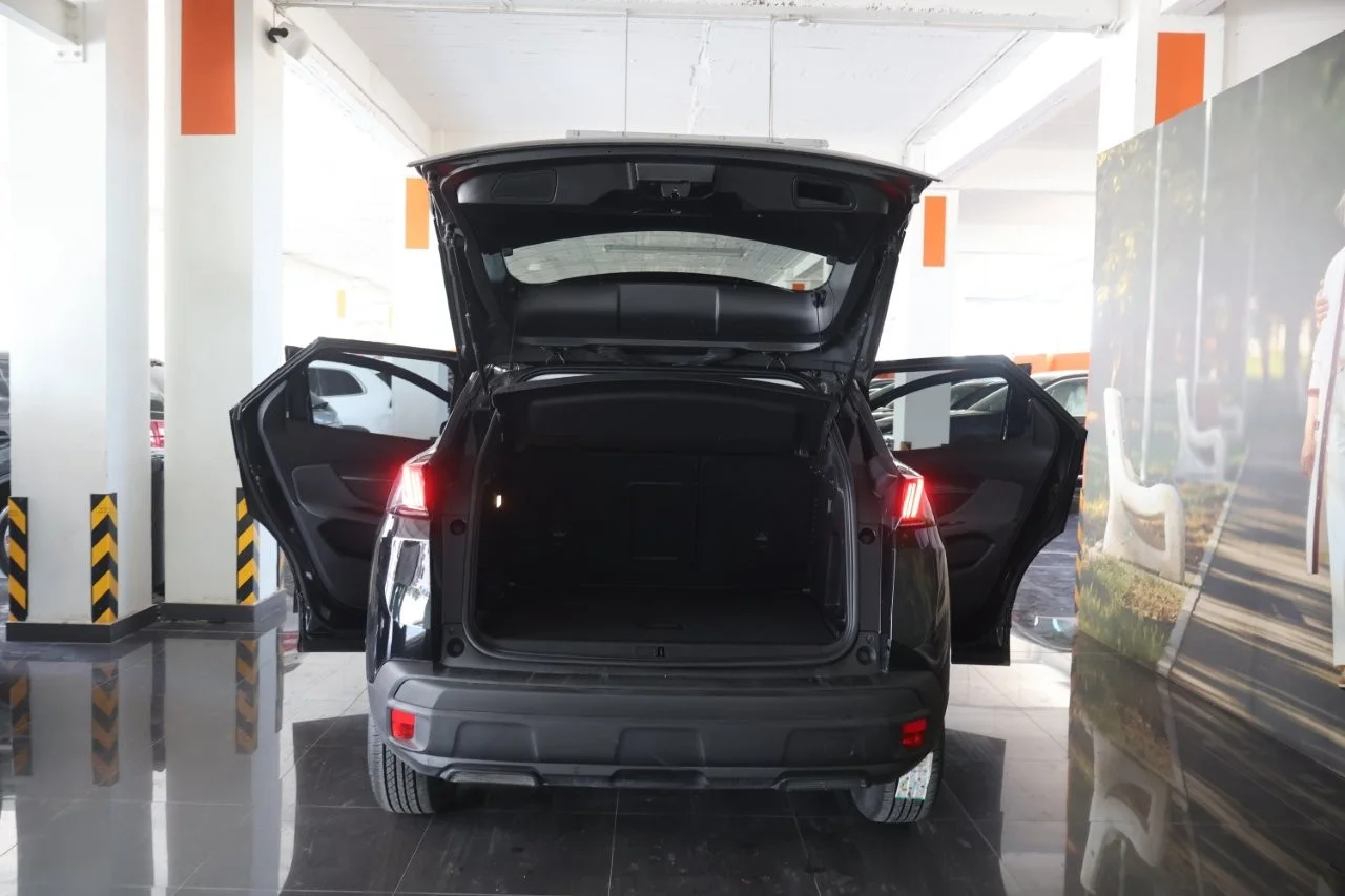 Peugeot 3008 - View model 8