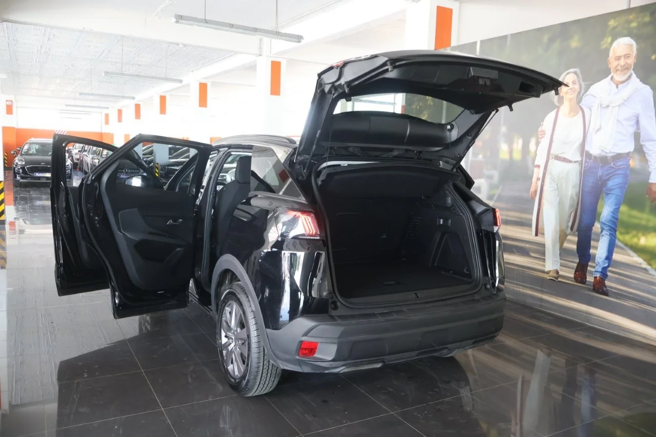 Peugeot 3008 - View model 9