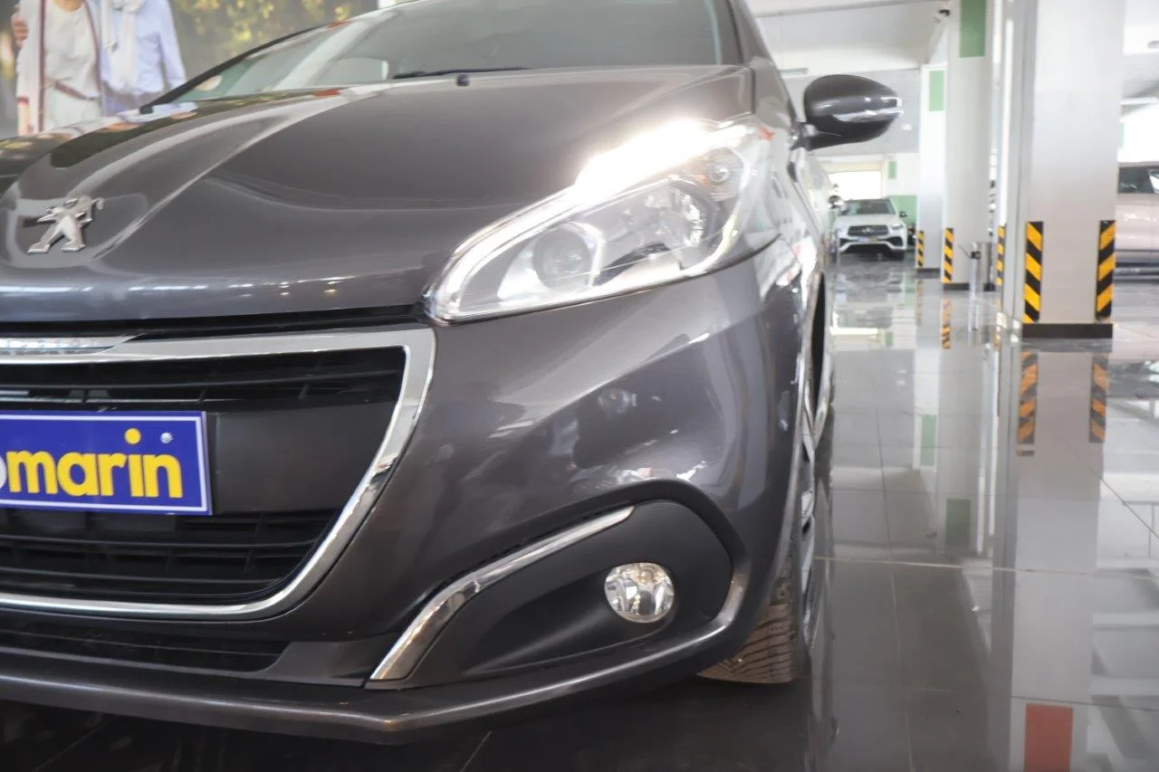 Peugeot 208 - View model 17