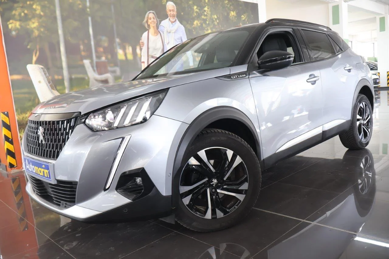 View 1 - Peugeot 2008 - 2020