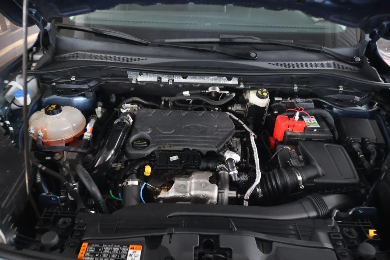 Ford Kuga - View model 21