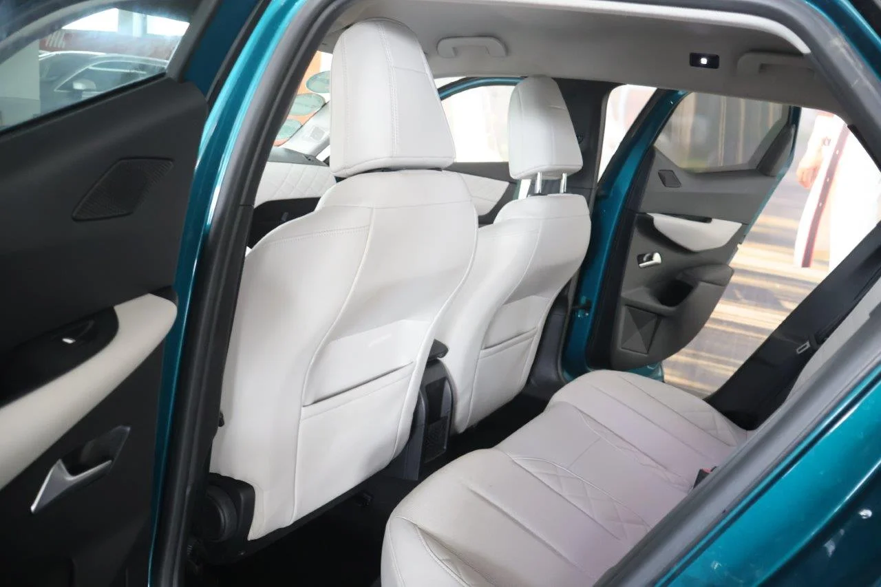 DS DS3 - View model 24