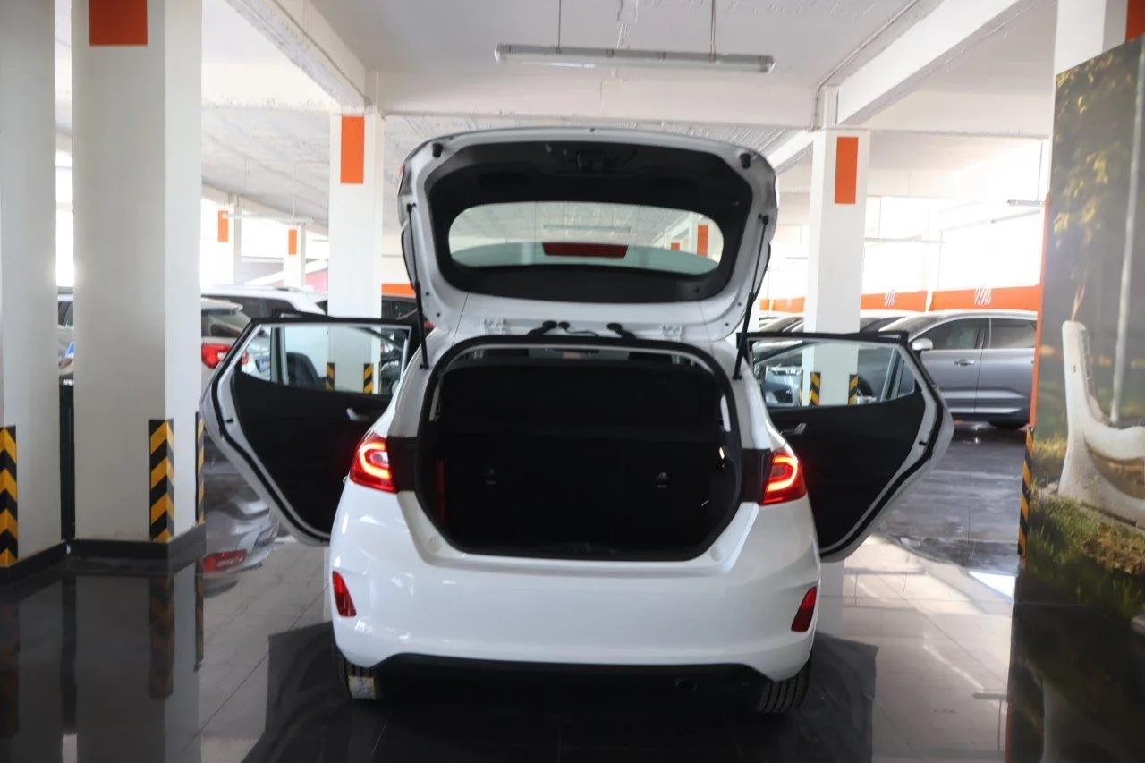 Ford Fiesta - View model 8