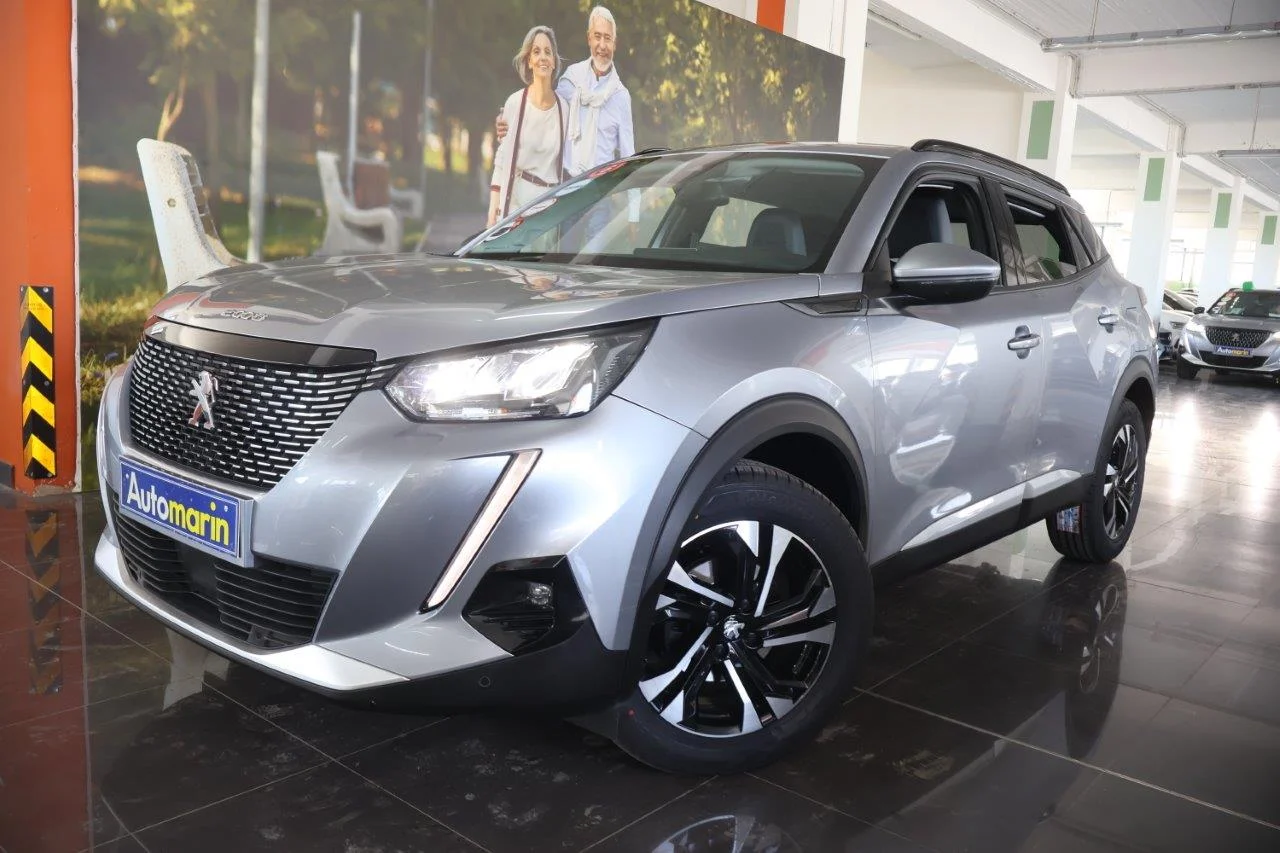 View 1 - Peugeot 2008 - 2020