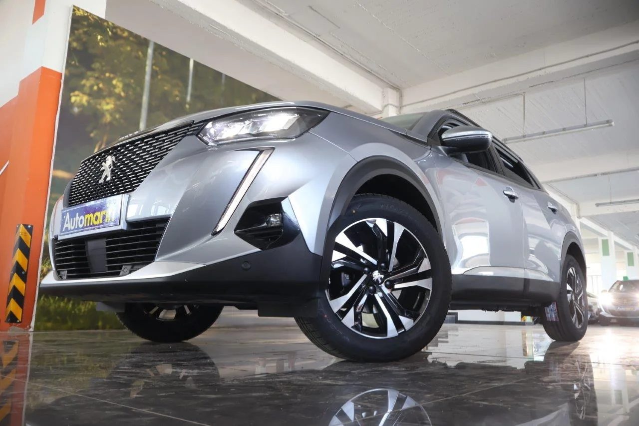 View 2 - Peugeot 2008 - 2020