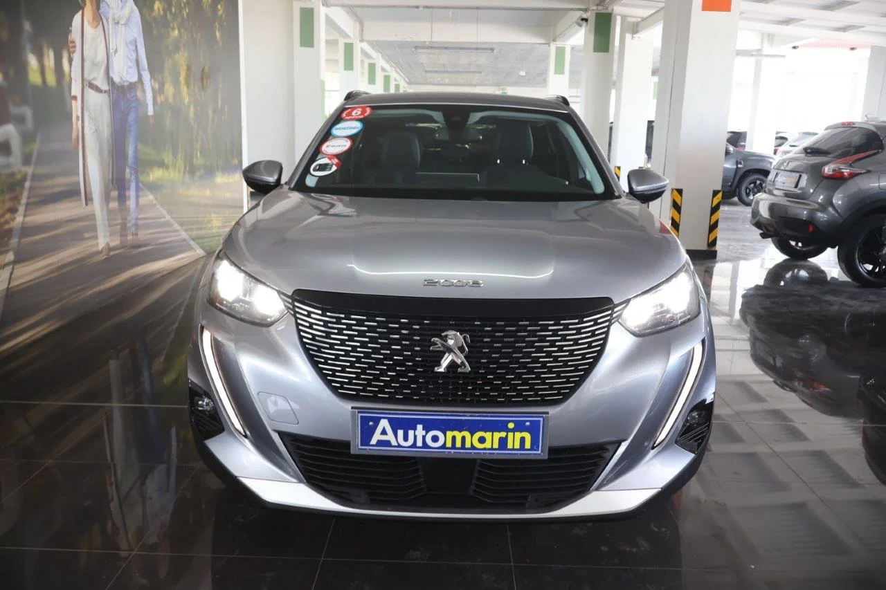 View 3 - Peugeot 2008 - 2020
