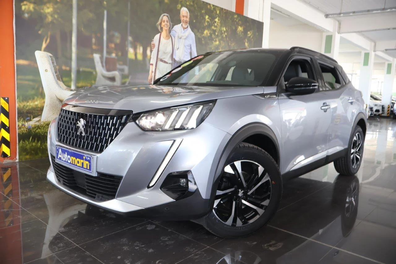 View 1 - Peugeot 2008 - 2020