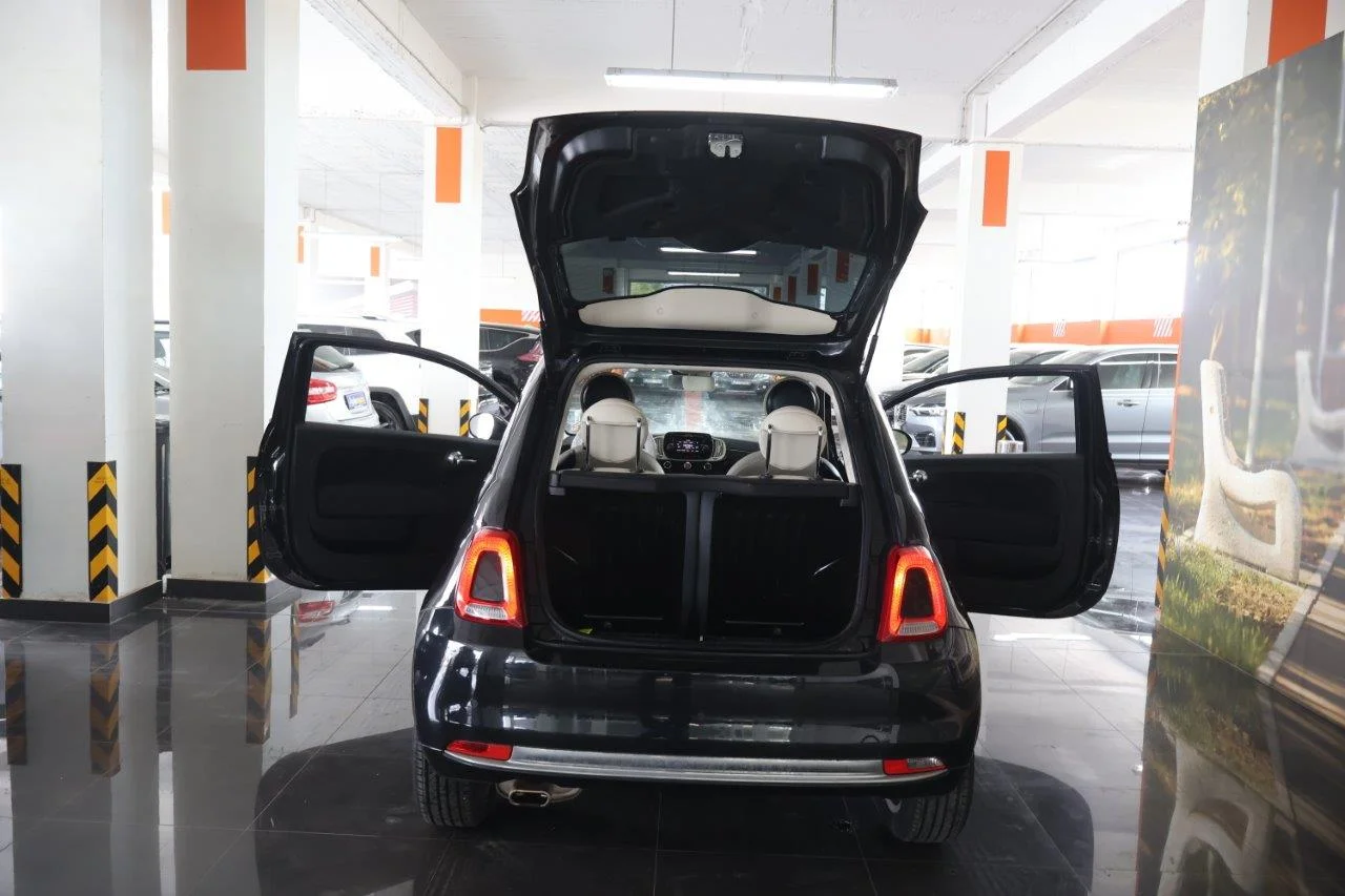 Fiat 500 - View model 8