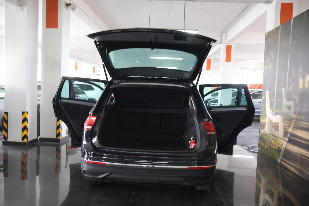 Volkswagen Tiguan - View model 8