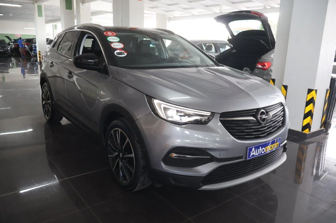 View 4 - Opel Grandland X - 2020