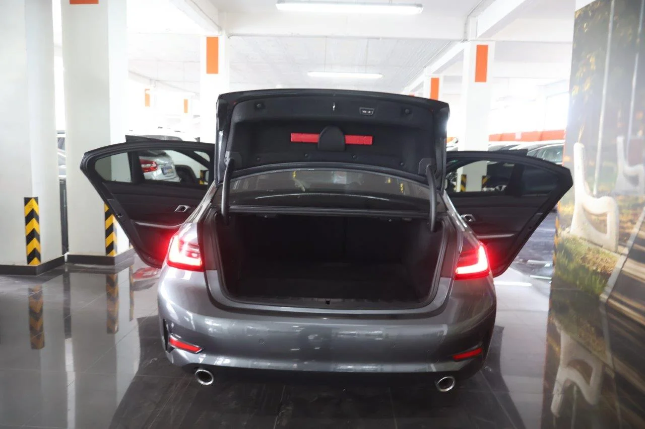 Bmw 330 - View model 8