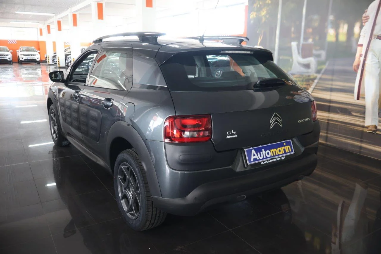 Citroen C4 Cactus - View model 6