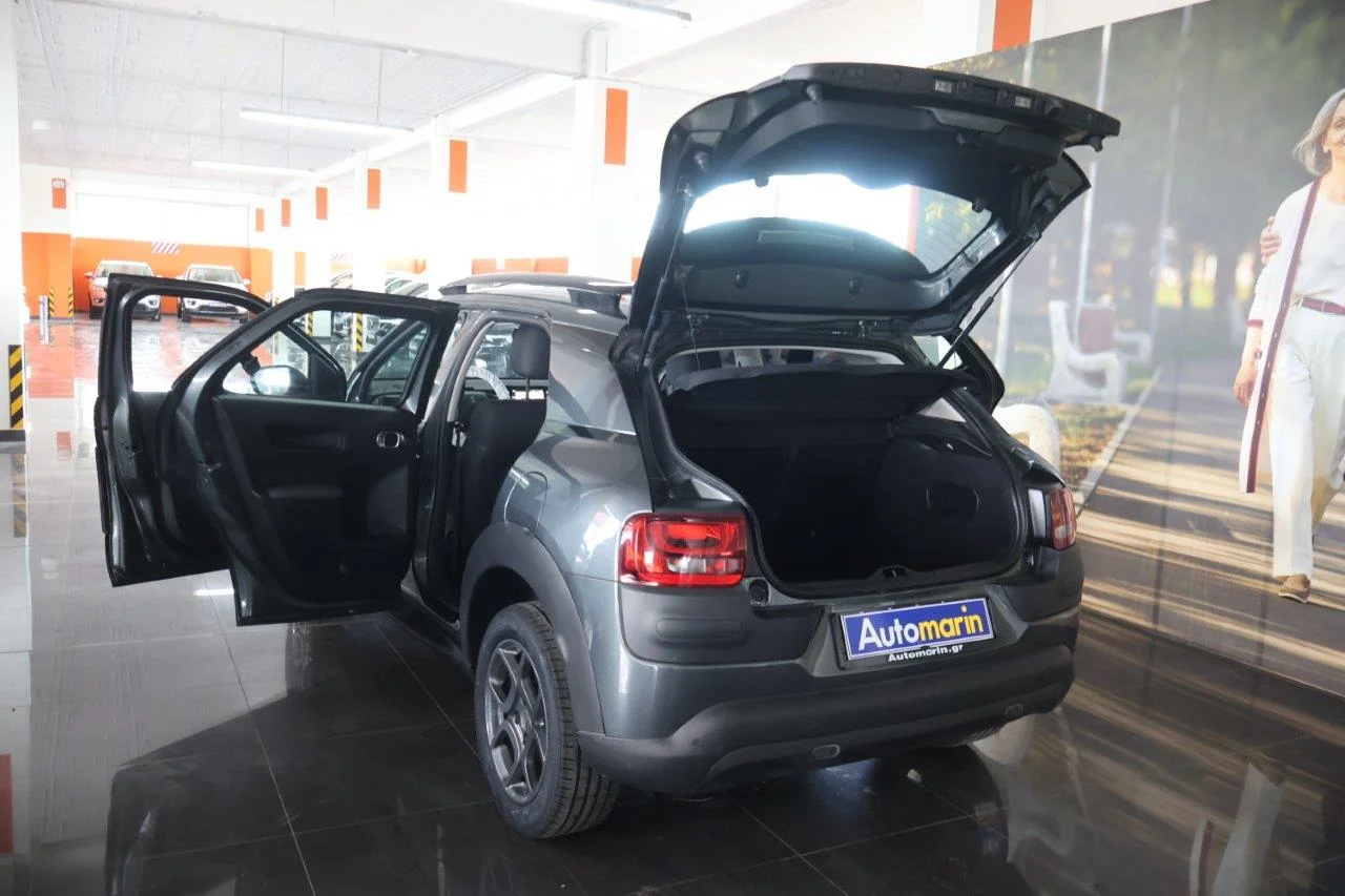 Citroen C4 Cactus - View model 9
