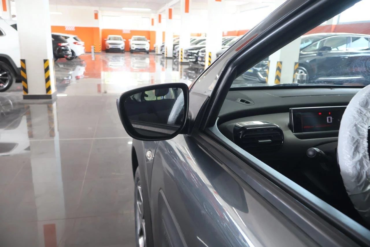 Citroen C4 Cactus - View model 16