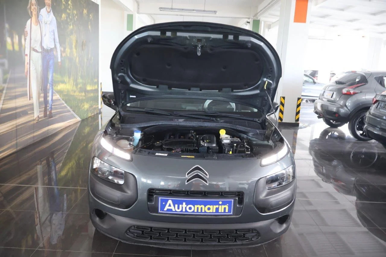 Citroen C4 Cactus - View model 20