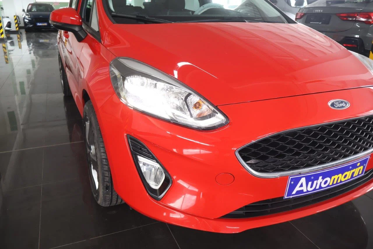 Ford Fiesta - View model 17