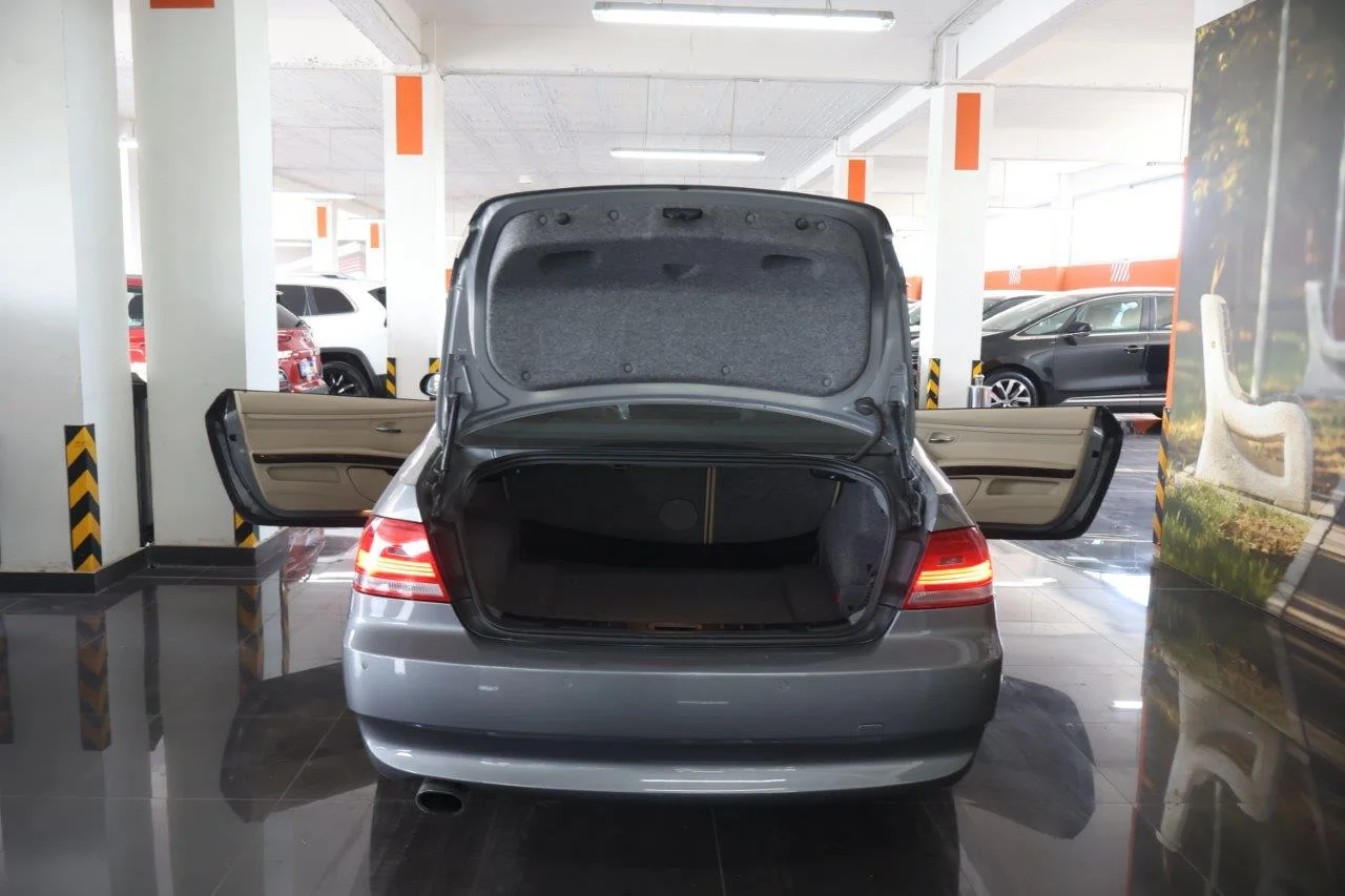 Bmw 320 - View model 8