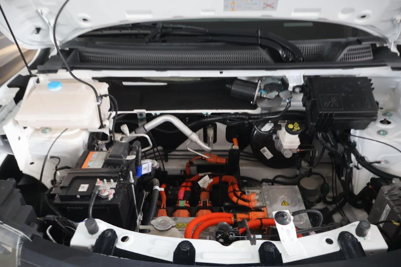 Dacia Spring - View model 22