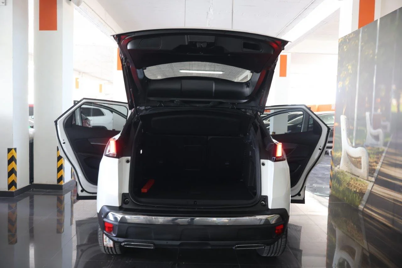 Peugeot 3008 - View model 8