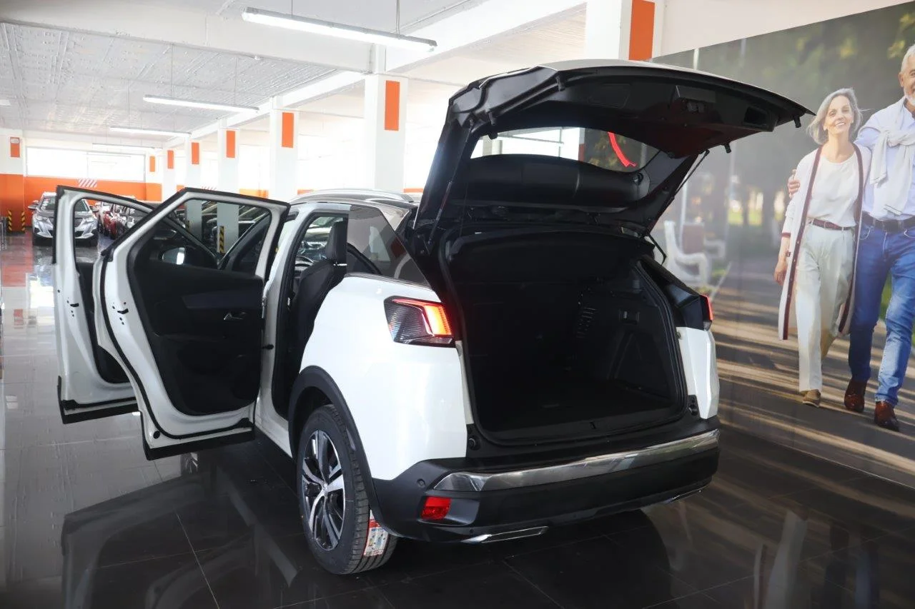 Peugeot 3008 - View model 9