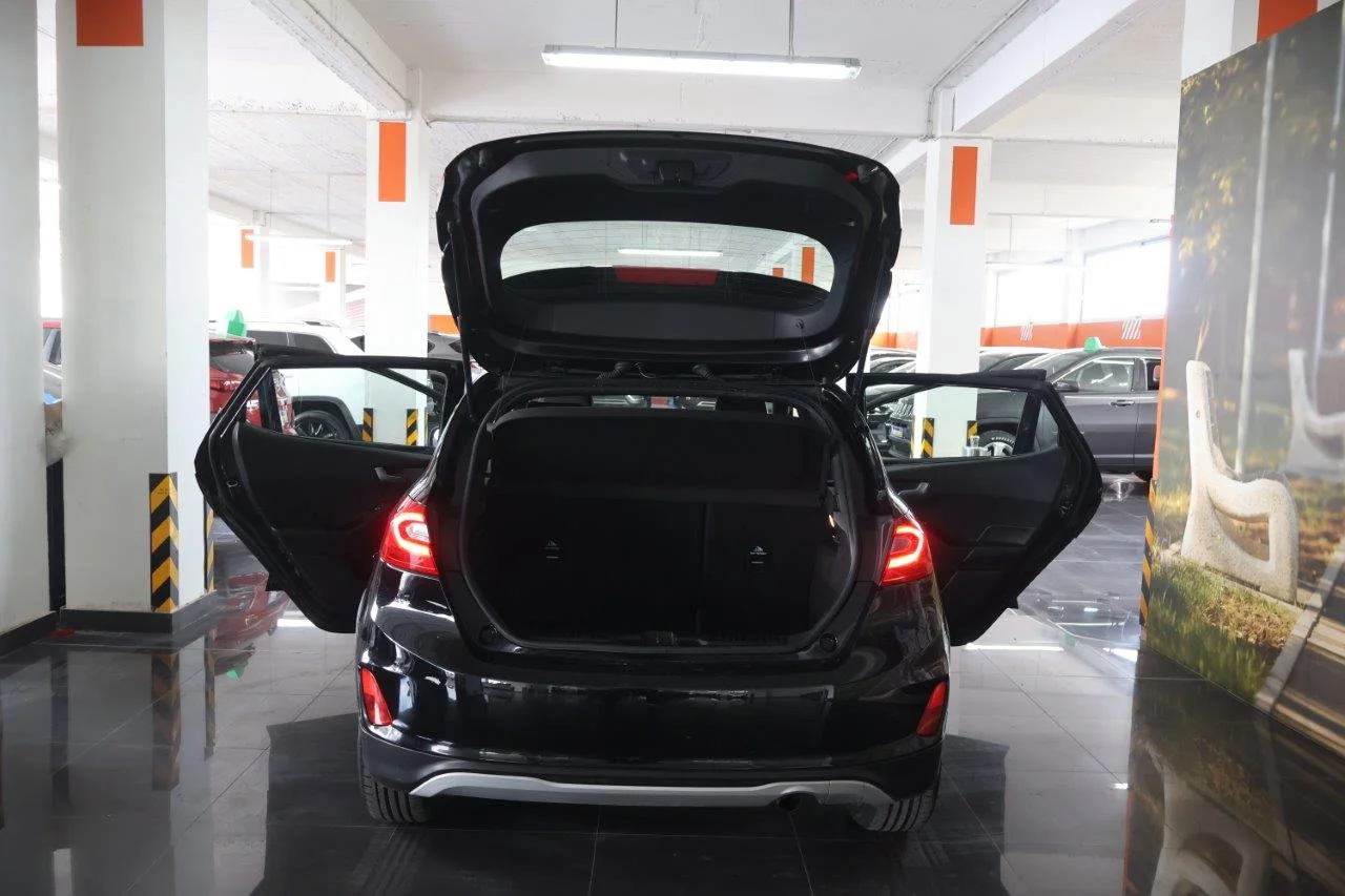 Ford Fiesta - View model 8