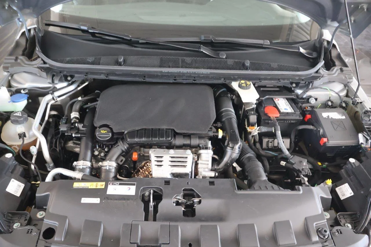 Peugeot 308 - View model 17